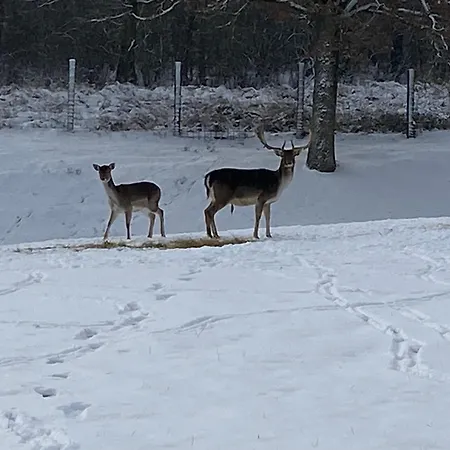 Le Briquemont Bed and Breakfast 3*