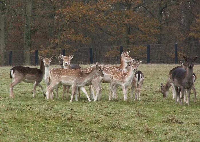 לינה וארוחת בוקר Le Briquemont